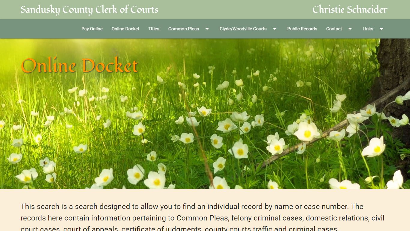 Sandusky County Clerk of Courts